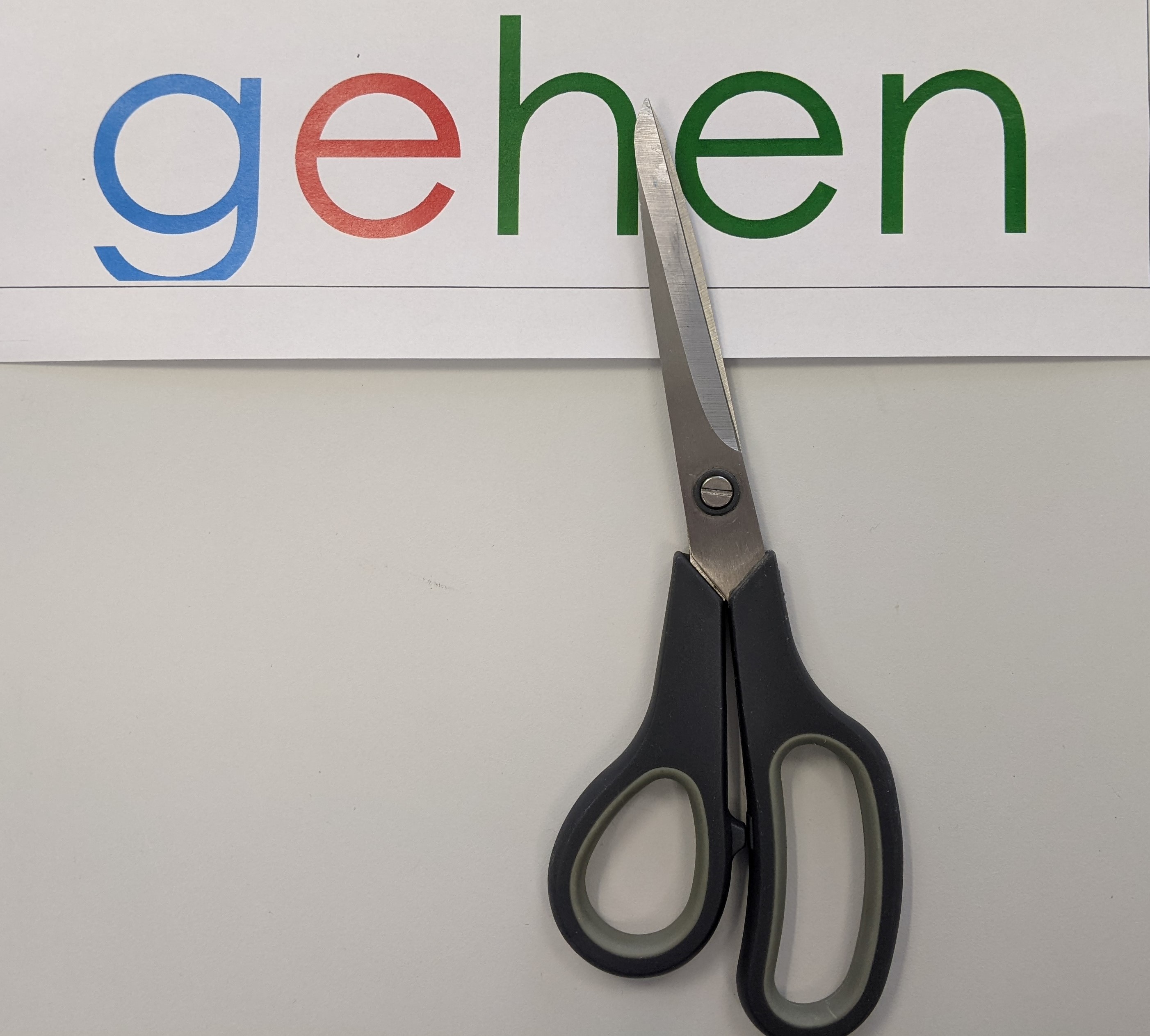 gehen 2.jpg